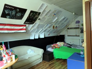 RD s dispozicí 2+1 (166 m2) s pozemkem 804 m2 ve Všetatech u Mělníku  - Foto12.jpg
