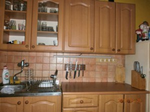 RD se 3 byt. jednotkami a užitnou plochou cca 200 m2, pozemky 996 m2  ve Znojmě - Oblekovicích - obr 4.jpg