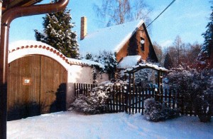 RD v obci Drahoňov u Pelhřimova - Foto1.jpg