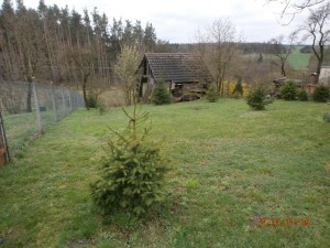 Rekreační chalupa se zahradou (847 m2) v obci Biskupice - Pulkov u Moravských Budějovic - P4090008.JPG