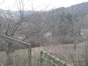 Rekreační objekt, Tašovice, Karlovy Vary - 20190325_143852.jpg