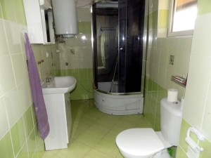 Rodinný dům 3+1 (125 m2) s pozemky (246 m2) v části Městec obce Chroustovice - Foto13.JPG