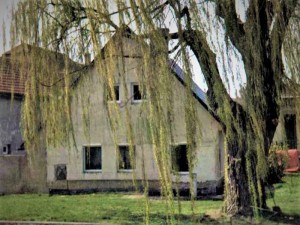 Rodinný dům 3+1 (125 m2) s pozemky (246 m2) v části Městec obce Chroustovice - Foto1.JPG
