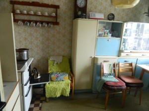 Rodinný dům 4+1 s garáží a zahradou a pozemky celkem 2074 m2 v Rešicích u Moravského Krumlova.  - DSCN3117.JPG