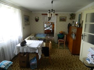 Rodinný dům 4+1 s garáží a zahradou a pozemky celkem 2074 m2 v Rešicích u Moravského Krumlova.  - DSCN3118.JPG