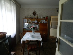Rodinný dům 4+1 s garáží a zahradou a pozemky celkem 2074 m2 v Rešicích u Moravského Krumlova.  - DSCN3119.JPG