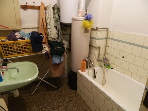 Rodinný dům 4+1 s garáží a zahradou a pozemky celkem 2074 m2 v Rešicích u Moravského Krumlova.  - DSCN3122.JPG