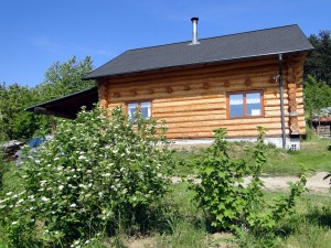 Rodinný dům s pozemky 1 319 m2 v obci Bohuslavice u Kyjova - Obr2.JPG