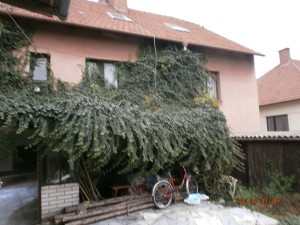 Rodinný dům s pozemky a garáží v obci Březník u Třebíče - PA070110.JPG