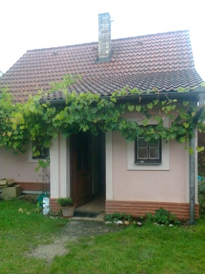 Rodinný dům s pozemky u rybníku Rožmberk - Domek pohled ze dvorku.jpg