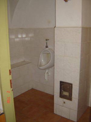 Rodinný dům s pozemky v obci Ktiš  - snimky fotak 053.jpg