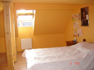 Rodinný dům s pozemky v obci Ktiš  - snimky fotak 063.jpg