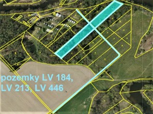 Spoluvlastnické podíly na pozemcích u Veselí nad Lužnicí u kempu Krkavec - Obr5.JPG