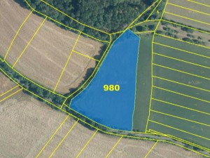 Spoluvlastnické podíly na zemědělských pozemcích (14 158 m2 orná půda, 16 915 m2 louka) v obci Kdyně u Domažlic - Obr_3.jpg