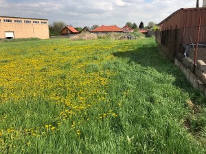 Stavební pozemky 2 263 m2, Zápy u Prahy - Obr1.JPG