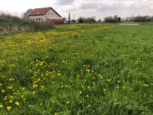 Stavební pozemky 2 263 m2, Zápy u Prahy - Obr4.JPG