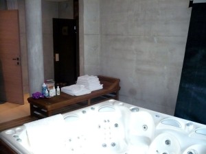 VIP Aukce - Exkluzivní vila s pozemky v Tuchoměřicích u Prahy - Foto10.jpg