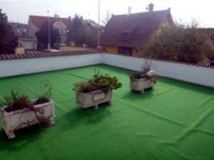 Vila s pozemky v Praze 3 - 6.JPG